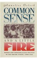Common Sense and a Little Fire