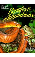 Florida's Fabulous Reptiles and Amphibians