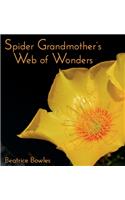 Spider Grandmother's Web of Wonders