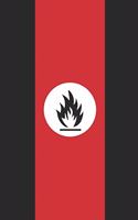 Seized by a Strange Fire