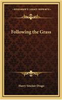 Following the Grass