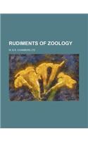 Rudiments of Zoology