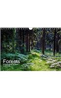 Forests Photographed on Four Continents 2018