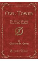 Owl Tower: The Story of a Family Feud in Old England (Classic Reprint)