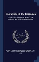 Engravings Of The Ligaments