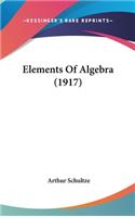 Elements Of Algebra (1917)