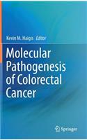 Molecular Pathogenesis of Colorectal Cancer
