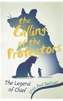 Calling of the Protectors