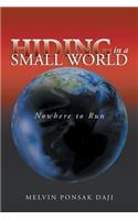 Hiding in a Small World - Nowhere to Run