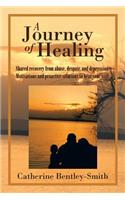 A Journey of Healing: (English)