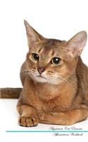 Abyssinian Cat Affirmations Workbook Abyssinian Cat Presents: Positive and Loving Affirmations Workbook. Includes: Mentoring Questions, Guidance, Supporting You.