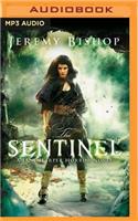 The Sentinel