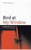 Bird at My Window