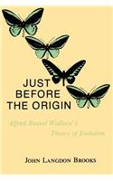 Just Before the Origin
