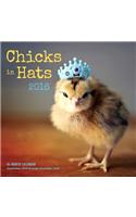 Chicks in Hats 2016