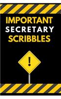 Important Secretary Scribbles Notebook / Journal 6x9 Ruled Lined 120 Pages