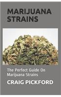 Marijuana Strains: The Perfect Guide On Marijuana Strains