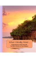 What I Really Want: 6 Questions to Ask Yourself for More Clarity on Any Subject - Beach Cover