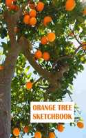 Orange Tree Sketchbook: Notebook, Journal, 8,5 x 11, 120 pages for Writing, Drawing and Sketching(9 Sketchbook for You)
