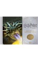 Harry Potter and the Goblet of Fire Enchanted Postcard Book