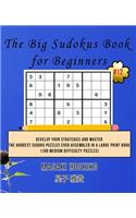 The Big Sudokus Book for Beginners #12