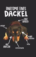 Anatomie eines Dackel