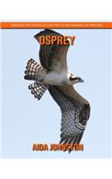 Osprey: Amazing Pictures & Fun Facts on Animals in Nature