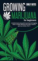 Growing Marijuana for beginners