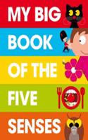 My Big Book of the Five Senses