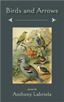 Birds and Arrows