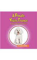 Poodle Visits France