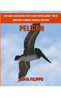 Pelican