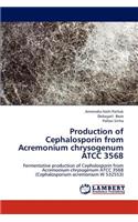 Production of Cephalosporin from Acremonium Chrysogenum Atcc 3568