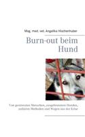 Burn-Out Beim Hund