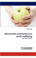 Microcredit contribution on social wellbeing