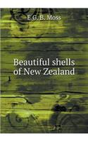 Beautiful Shells of New Zealand