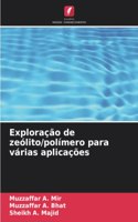 Exploração de zeólito/polímero para várias aplicações