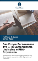 Enzym Paraoxonase Typ 1 im Samenplasma und seine mRNA-Expression
