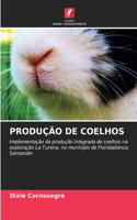 Produção de Coelhos