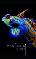 Mandarin Goby