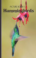Picture Book Of Hummingbirds