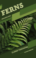 Ferns