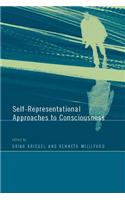 Self-Representational Approaches to Consciousness