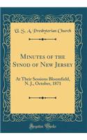 Minutes of the Synod of New Jersey: At Their Sessions Bloomfield, N. J., October, 1871 (Classic Reprint)