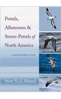 Petrels, Albatrosses, and Storm-Petrels of North America