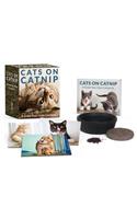 Cats on Catnip: A Grow-Your-Own Catnip Kit: A Grow-Your-Own Catnip Kit