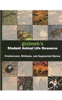 Segmented Worms, Crustaceans and Molluscs
