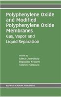 Polyphenylene Oxide and Modified Polyphenylene Oxide Membranes