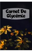Carnet de Glycémie