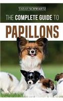 The Complete Guide to Papillons